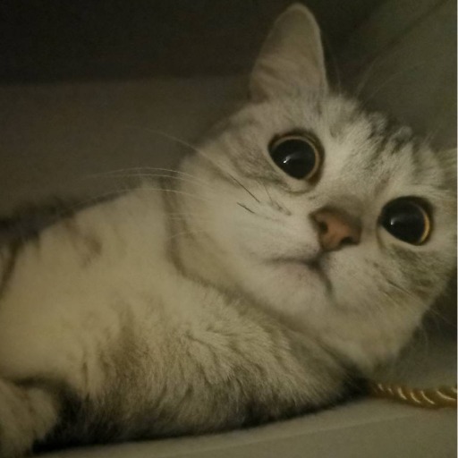 奥南